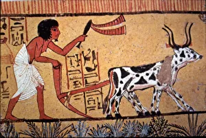 Daily Life In Ancient Egypt Drucke: 2685730