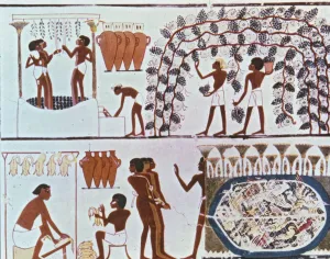 Daily Life In Ancient Egypt Drucke: 2686061