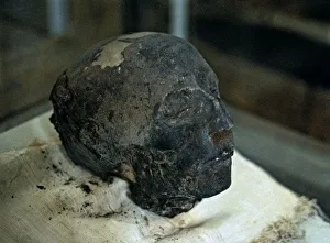 Ancient Egyptian Mummy Drucke: 2686070