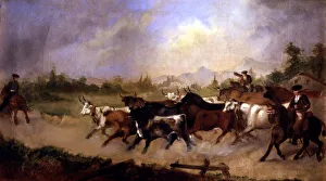 Rugged American Landscape Drucke: 2686397