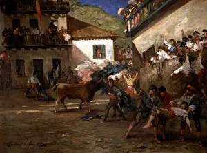 Traditional Bullfighting Drucke: 2686399