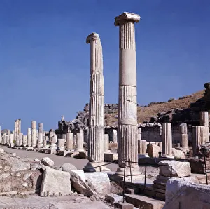 Doric Column Architecture Drucke: 2686891