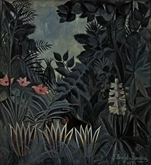 Dense Jungle Vegetation Drucke: 2687026