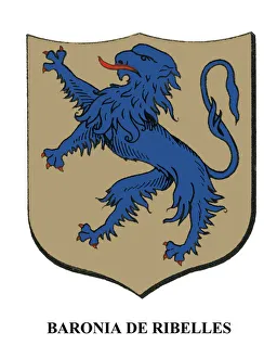 Lion Coat Of Arms Drucke: 2687332