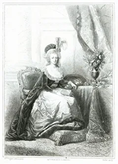 Historic Interior Design Drucke: 2687389