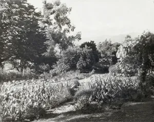 Vintage Garden Photography Drucke: 2916448