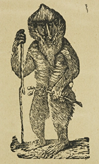 Egyptian Hall London Drucke: Active Gibbon, 1840. Creator: Unknown