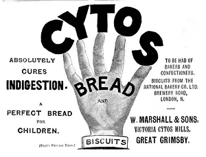 Illustrated London News Ads Drucke: Advertisement for Cytos Bread and Biscuits, 1895. Creator: Unknown