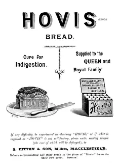 Anzeige für Hovis Brot und Kekse, 1895. Ersteller: Unbekannt.