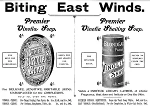 Werbung für Vinolia-Seife, 1898. Künstler: Unbekannt.