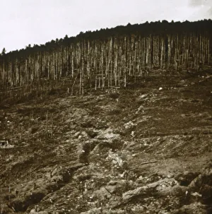 Early 20th Century Conflict Drucke: Alsace, c1914-c1918