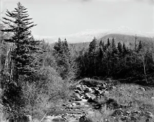 American Landscape Images Drucke: Ammonoosuc River and Mt. Monroe
