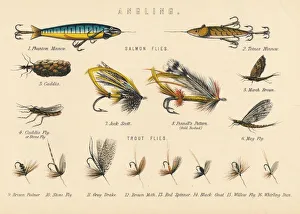 Angling Equipment Drucke: Angling, c20th century