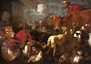 Die Tiere bauen Noahs Arche.