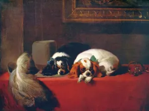 Drucke von Königliche Charleys Spanielle (Die Ritter der Haustiere), 1845, (um 1915). Das Gemälde befindet sich im Tate Gallery in London. Von International Art: Past and Present von Alfred Yockney C Drucke: Königliche spanische Hunde (Die Ritter von den Haustieren der Cavalier)