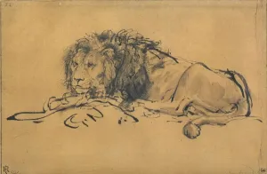 Drucke von Der Löwe ruht sich zuwischendrehte nach links um 1650. Nach einem Werk von Rembrandt van Rhijn (1606-1669) wurde es gefunden. Ursprünglich befand sich das Original in der Sammlung des Louvre, Paris Rembrandt Drucke: Löwe Ruhe, nach links gewandt um 1650 von Rembrandt Harmensz van Rijn