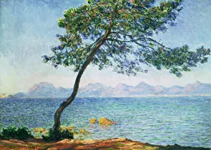 Fine Art Oil On Canvas Images Drucke: Antibes, 1888