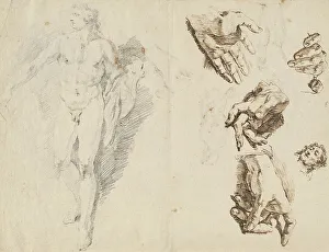 Anatomical Study Drucke: Apollo and Studies of the Artist's Own Hand [recto]