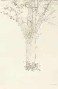 Lithographic Prints France Drucke: Arbre (Tree), 1892. Creator: Odilon Redon