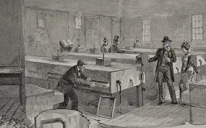 Black And White Bird Images Drucke: Artificial hatching of hen eggs by the Baker method