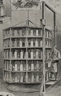 Black And White Bird Images Drucke: Artificial hatching of hen eggs by the Baker method - supply of bait for layer chicks