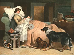Sollte ein alter Bekannter vergessen werden? Nach J.C.Dollmann, RI 1888 Kreatör unbekannt