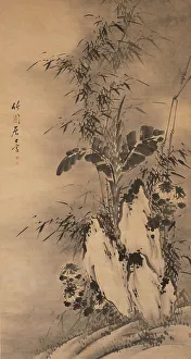 Chinese Heritage Images Drucke: Bamboo. Creator: Unknown