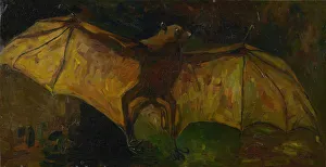 Der Fledermaus