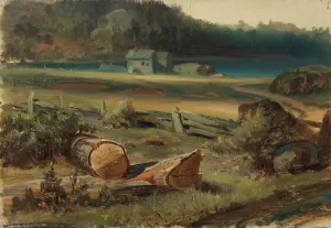 Strandlandschaft, Künstler: Johan Knutson