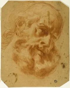 Red Chalk Drawings Italy Drucke: Bearded Head, n.d. Creator: Unknown