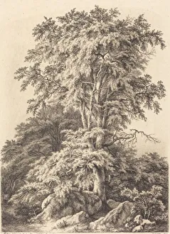 Eichenweg, 1840. Ersteller: Eugen Bléry