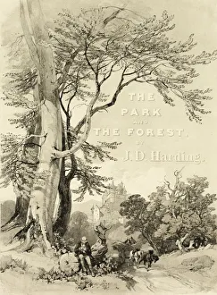 Drucke von Eiche und Eberhorn (Vorwort), aus The Park and the Forest, 1841 James Duffield Harding Drucke: Eiche und Eberhorn aus 'The Park and the Forest', 1841