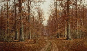 Buchen, Datum unbekannt. Ersteller: William M Snyder