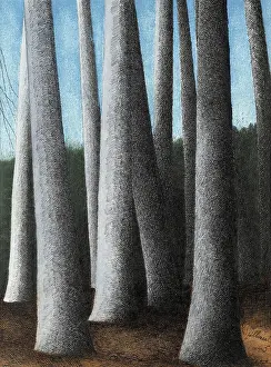 Symbolism In Graphic Arts Drucke: Beech Trees Trunks, 1945. Creator: Spilliaert, Leon (1881-1946)