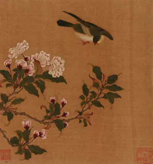 Ein Vogel schwebt über blühenden Zweigen der Qing-Dynastie im 18. Jahrhundert; Künstler unbekannt
