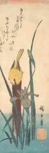 Vogel und Iris, Künstler: Andō Hiroshi