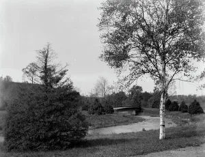 Black And White Bridge Images Drucke: A Bit of Forest Park, Springfield, Mass. between 1910 and 1920. Creator: Unknown