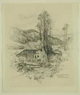 Black And White Art Gallery Drucke: A Bit of Lanherne Valley, Cornwall