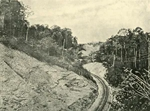 Federated Australia Images Drucke: In the Blackall Ranges, 1901. Creator: Unknown