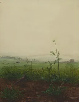 Botanical Still Life Drucke: Blackbird and Scabious in front of a Landscape, 1864. Creator: Leon Bonvin