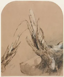 Ein blutiger Baum / Rektos, Entwurf des Bodenplans / Versos, 1851. Ersteller: Jasper F. Cropsey (Amerikaner, 1823-1900)
