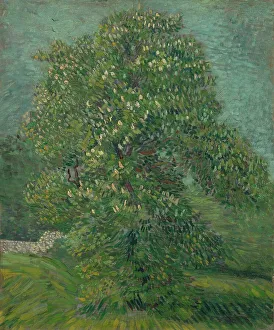 Blühende Kastanienbaum, 1887. Schöpferin/Erfinder: Van Gogh, Vincent (1853-1890)