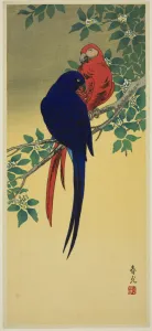 Heritage Animal Images Drucke: Blue and Red Macaws, n. d. Creator: Shunko