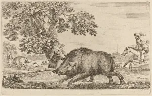 Schwein reißt nach links von Stefano della Bella