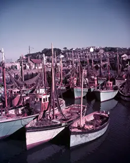Devon Coastline Drucke: Boats in Brixham Harbour, Devon, c1955. Creator: Arthur Charles Kirby Ware