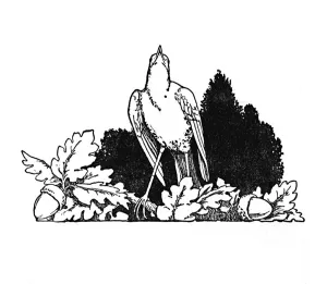 W Heath Robinson Art Drucke: Among the Branches Dwelt a Nightingale, c1930. Artist: W Heath Robinson