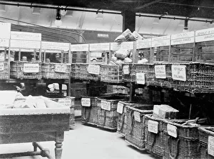 Britische Pakete-Post sortiert Päckchen für ausländischen Briefpost zwischen 1910 und 1915. Ersteller: Bain News Service