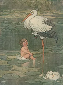 Die Blume öffnete sich in eine volle Blüte, 1930. Künstler: W.H. Heath Robinson