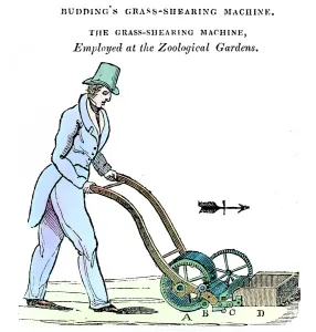 Gras des Budding - Scherenmaschine 1832