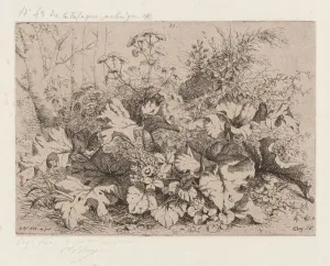 Heritage Botanical Art Drucke: Burdock in Bloom, 1858. Creator: Eugene Blery